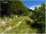 Planina Polog - Vrh Planje